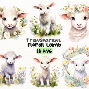 Watercolor Floral Lamb PNG Bundle, Digital Crafts Designs Transparent, Cute Little Lamb Clipart, Commercial Use