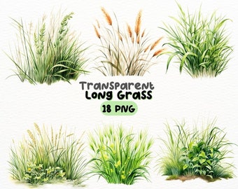 Paquete PNG de hierba larga de acuarela, diseños de artesanías digitales transparentes, imágenes prediseñadas de paisaje natural, imágenes prediseñadas de hierba, uso comercial