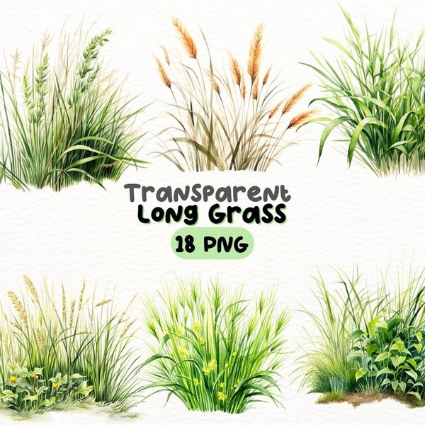 Watercolor Long Grass PNG Bundle, Digital Crafts Designs Transparent, Natural Landscape Clipart, Grass Clipart, Commercial Use