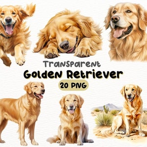 Watercolor Golden Retriever PNG Bundle, Digital Crafts Designs Transparent, Dog Clipart, Cute Golden Retriever Clipart, Commercial Use