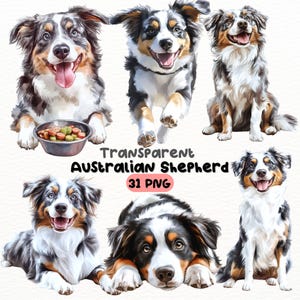 Watercolor Australian Shepherd PNG Bundle, Digital Crafts Designs Transparent, Dog Clipart, Cute Australian Shepherd Clipart, Commercial Use