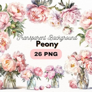 Watercolor Pink Peony PNG Bundle, Digital Crafts Designs Transparent, Peonies Clipart, Floral Clipart, Commercial Use