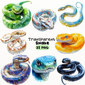 Pacote de PNG de cobra fofa em aquarela, designs de artesanato digital transparentes, clipart de réptil, clipart de cobra selvagem, uso comercial