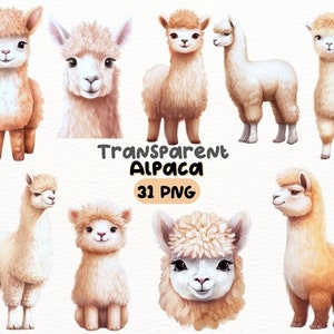 Watercolor Cute Alpaca PNG Bundle, Digital Crafts Designs Transparent, Wildlife Clipart, Llama Clipart, Commercial Use