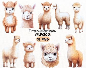 Watercolor Cute Alpaca PNG Bundle, Digital Crafts Designs Transparent, Wildlife Clipart, Llama Clipart, Commercial Use