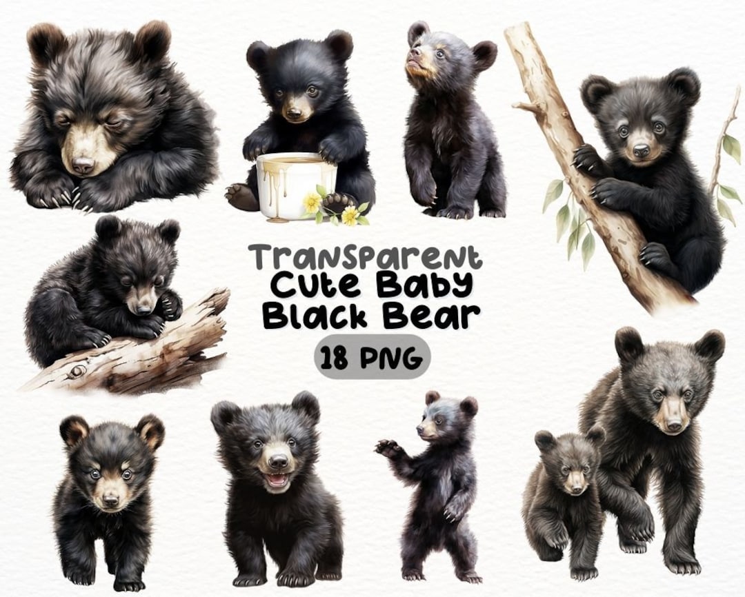 Watercolor Cute Baby Black Bear PNG Bundle, Digital Crafts Designs