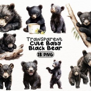 Watercolor Cute Baby Black Bear PNG Bundle, Digital Crafts Designs Transparent, Black Bear Cub Clipart, Cubs Clipart, Commercial Use