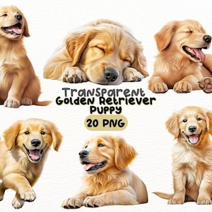 Pacote PNG de filhote de cachorro Golden Retriever em aquarela, designs de artesanato digital transparentes, clipart de cachorro, clipart de cachorro fofo, uso comercial