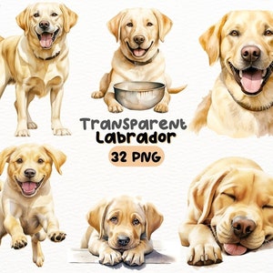 Watercolor Labrador Retriever PNG Bundle, Digital Crafts Designs Transparent, Dog Clipart, Cute Golder Labrador Clipart, Commercial Use