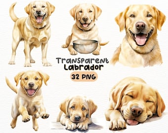 Zestaw akwareli Labrador Retriever PNG, cyfrowe wzory rzemiosła przezroczyste, pies Clipart, słodki Golder Labrador Clipart, komercyjne zastosowanie