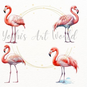 Watercolor Flamingo PNG Bundle, Digital Crafts Designs Transparent ...