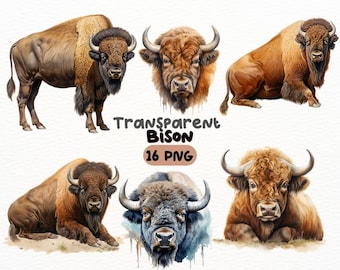 Watercolor Bison PNG Bundle, Digital Crafts Designs Transparent, Majestic Wildlife Clipart, Nature Clipart, Commercial Use