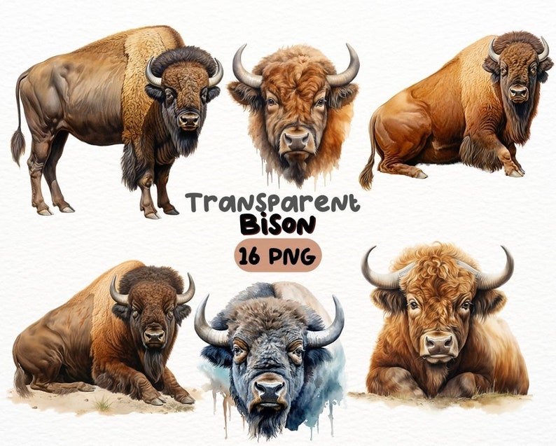Watercolor Bison PNG Bundle, Digital Crafts Designs Transparent ...