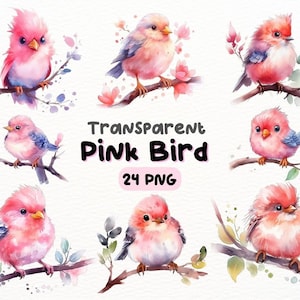 Paquete PNG de pájaro rosa lindo acuarela, diseños de artesanías digitales transparentes, imágenes prediseñadas de pájaro rosa, imágenes prediseñadas de pájaro adorable, uso comercial