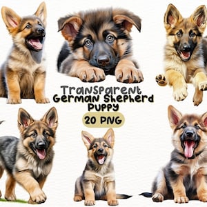 Aquarelle chiot berger allemand PNG Bundle, Digital Crafts Designs Transparent, Baby Dog Clipart, Cute Puppy Clipart, Utilisation commerciale