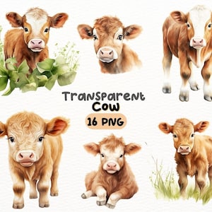 Paquete PNG de vaca acuarela, diseños de artesanías digitales transparentes, imágenes prediseñadas de ternera, imágenes prediseñadas de animales de granja, uso comercial