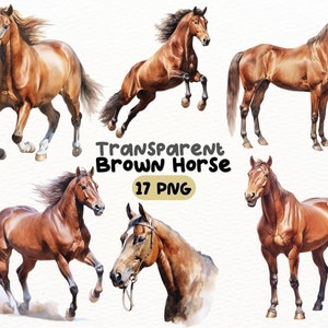 Pacote PNG de cavalo marrom aquarela, designs de artesanato digital transparentes, clipart de animais, uso comercial