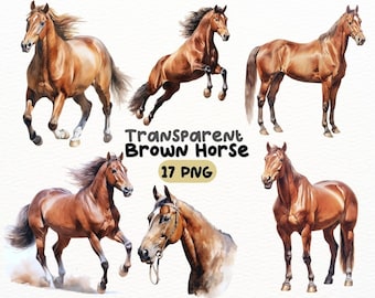 Pode incluir: Ilustrações em aquarela de cavalos marrons em várias poses, incluindo correr, saltar e ficar em pé. A imagem inclui o texto "Transparent Brown Horse 17 PNG". Os cavalos são retratados com crinas e caudas esvoaçantes.