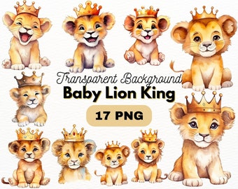 Cute Baby Lion King PNG Bundle, Digital Crafts Designs Transparent, Little Lions Clipart, Animal PNG, Commercial Use