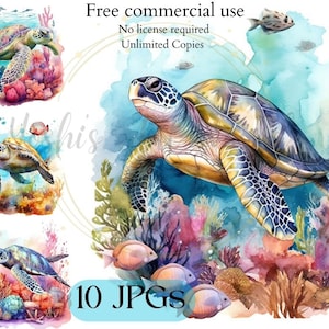 Clipart de tortugas marinas - 10 JPG de alta calidad - Scrapbooking, Manualidades, Diseño digital - Uso comercial - Descarga digital