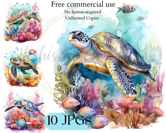 Sea Turtle Clipart - 10 High Quality JPGs - Scrapbooking, Crafts, Digital Design - Commercial Use - Digital Download