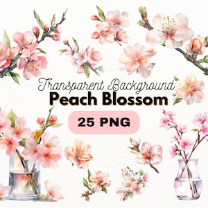 Paquete PNG de flor de durazno rosa acuarela, diseños de artesanías digitales transparentes, imágenes prediseñadas de flor de durazno, imágenes prediseñadas florales, uso comercial