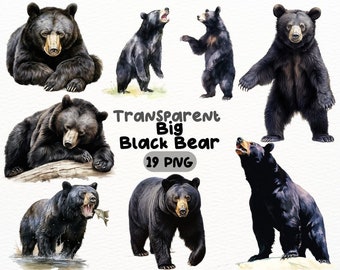 Watercolor Big Black Bear PNG Bundle, Digital Crafts Designs Transparent, Majestic Wildlife Clipart, Nature Lover Clipart, Commercial Use