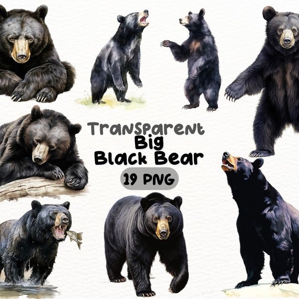 Watercolor Big Black Bear PNG Bundle, Digital Crafts Designs Transparent, Majestic Wildlife Clipart, Nature Lover Clipart, Commercial Use