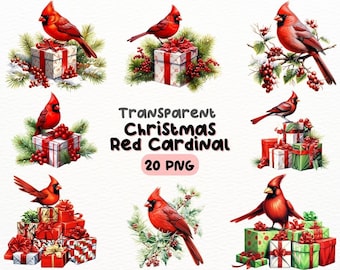 Christmas Red Cardinal PNG Bundle, Digital Crafts Designs Transparent, Christmas Gift Clipart, Winter Decoration, Commercial Use