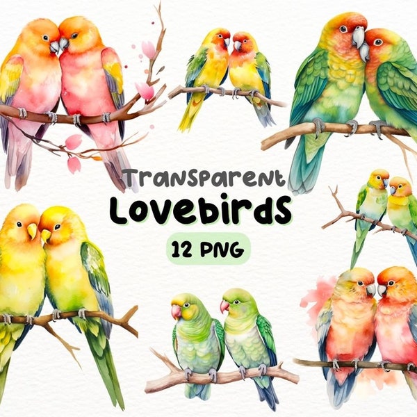 Watercolor Lovebirds PNG Bundle, Digital Crafts Designs Transparent, Romantic Bird Clipart, Lovebird Clipart, Commercial Use