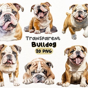 Aquarelle Bulldog PNG Bundle, Digital Crafts Designs Transparent, Dog Clipart, Cute Bulldog Puppy Clipart, Utilisation commerciale