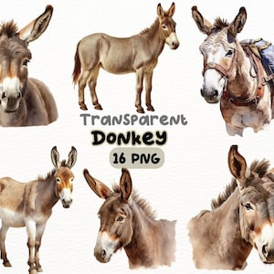 Check out this transparent Donkey on top of Shrek PNG image