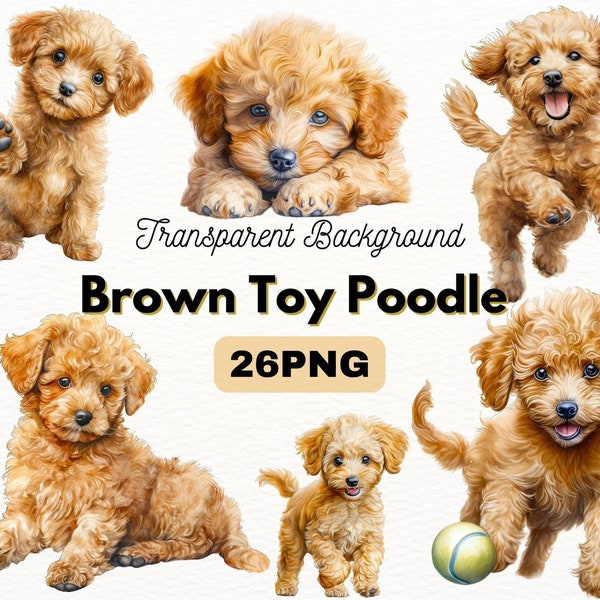 Brown Toy Poodle PNG Bundle, Digital Crafts Designs Transparent, Teddy Bear Puppy Clipart, Dog PNG, Puppy Clipart, Commercial Use