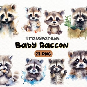 Aquarell niedlicher Waschbär PNG Bundle, digitales Handwerk Designs transparent, Baby Waschbär Clipart, niedlicher Waschbär Clipart, kommerzielle Nutzung