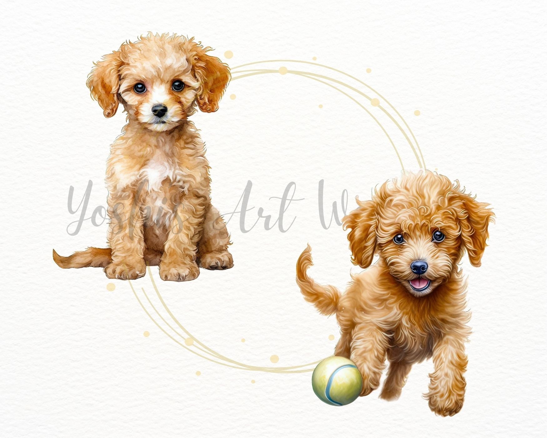 Brown Toy Poodle PNG Bundle, Digital Crafts Designs Transparent, Teddy Bear  Puppy Clipart, Dog PNG, Puppy Clipart, Commercial Use - Etsy, image size:1750x1403