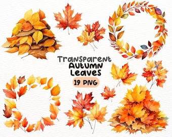 Aquarell Herbst Ahornblätter PNG Bundle, digitales Handwerk Designs transparent, Herbstlaub Clipart, saisonale Clipart, kommerzielle Nutzung