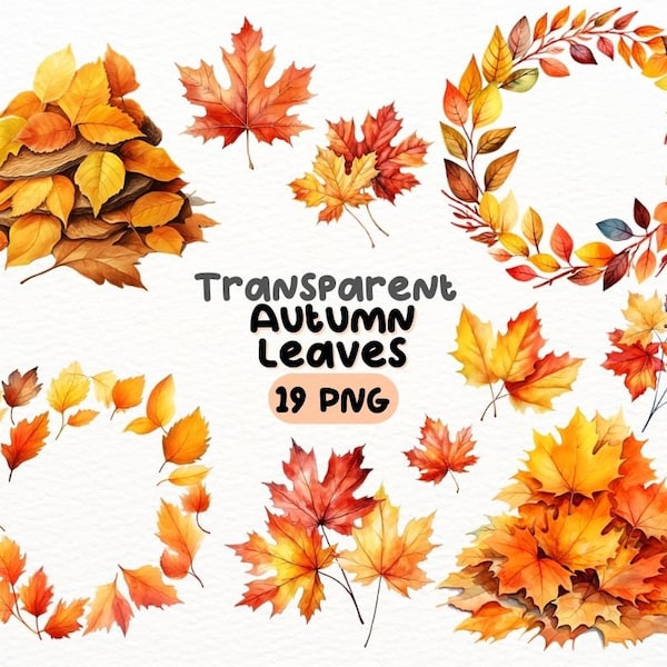 Watercolor Autumn Maple Leaves PNG Bundle, Digital Crafts Designs Transparent, Fall Foliage Clipart, Seasonal Clipart, Commercial Use