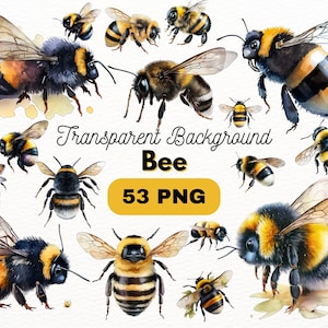 May include: Watercolour illustrations of bees with transparent backgrounds. The bees are in various poses and have yellow and black stripes. The text "Transparent Background Bee 53 PNG" is written in black on a yellow rectangle.
