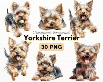 Yorkshire Terrier PNG Bundle, Digital Crafts Designs Transparent, Yorkie Clipart, Dog PNG, Puppy Clipart, Commercial Use