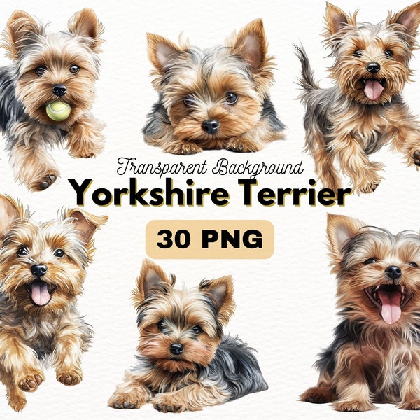 Yorkshire Terrier PNG Bundle, Digital Crafts Designs Transparent, Yorkie Clipart, Dog PNG, Puppy Clipart, Commercial Use