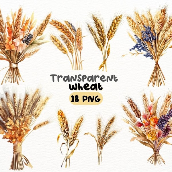 Watercolor Wheat PNG Bundle, Digital Crafts Designs Transparent, Rustic Grain Clipart, Farmhouse Clipart, Commercial Use