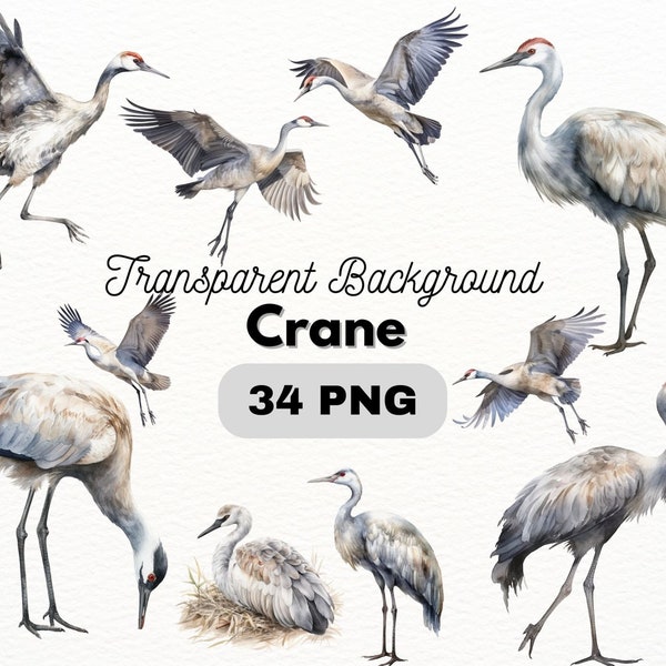 Watercolor Crane PNG Bundle, Digital Crafts Designs Transparent, Animal Clip art, Bird Clipart, Commercial Use