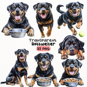 Watercolor Rottweiler PNG Bundle, Digital Crafts Designs Transparent, Dog Clipart, Cute Rottweiler Clipart, Commercial Use