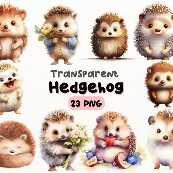 Watercolor Cute Hedgehog PNG Bundle, Digital Crafts Designs Transparent, Hedgehog Clipart, Animal Clipart, Commercial Use