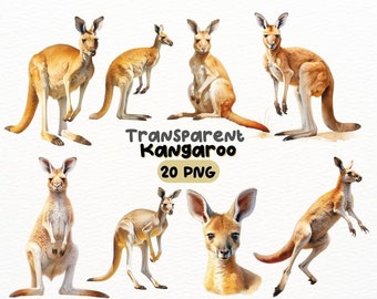 Pacote PNG de canguru em aquarela, designs de artesanato digital transparentes, clipart marsupial, animal do zoológico australiano, uso comercial