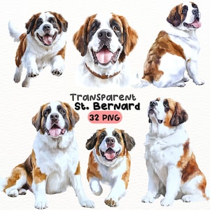 Watercolor St. Bernard PNG Bundle, Digital Crafts Designs Transparent, Dog Clipart, Cute Saint Bernard Clipart, Commercial Use