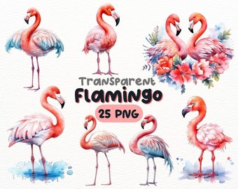 Aquarelle Flamingo PNG Bundle, Digital Crafts Designs Transparent, Flamingo Clipart, Clipart oiseau tropical, usage commercial