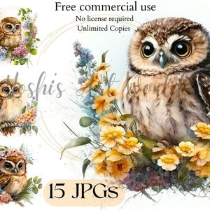 Cute Floral Baby Owl Clipart - 15 High Quality JPGs - Crafts, Digital Design, Nursery Decor - Commercial Use - Digital Download