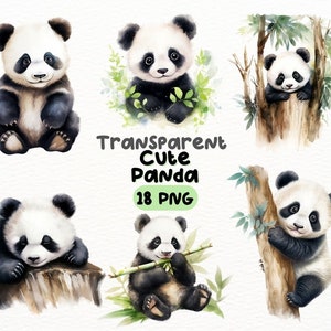 Pacote de PNG de panda fofo em aquarela, designs de artesanato digital transparentes, clipart de panda adorável, clipart de bambu de panda, uso comercial