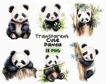 Watercolor Cute Panda PNG Bundle, Digital Crafts Designs Transparent, Adorable Panda Clipart, Panda Bamboo Clipart, Commercial Use
